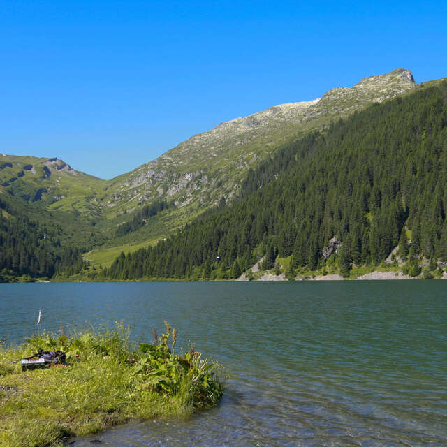 Fish in lakes & rivers around Hauteluce