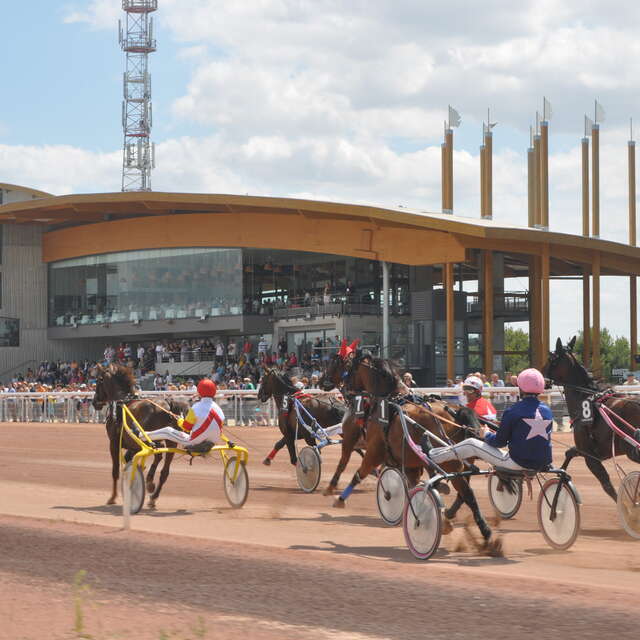 Courses à l'hippodrome