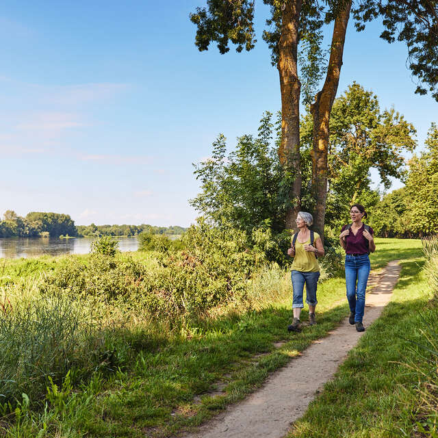 The Loire and the horticultural fields