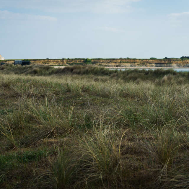 Les 4 saisons de la réserve naturelle du marais d'Yves