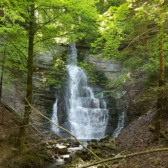 Les Dioux
