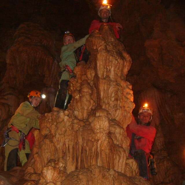 Spéléologie : Back to the tree