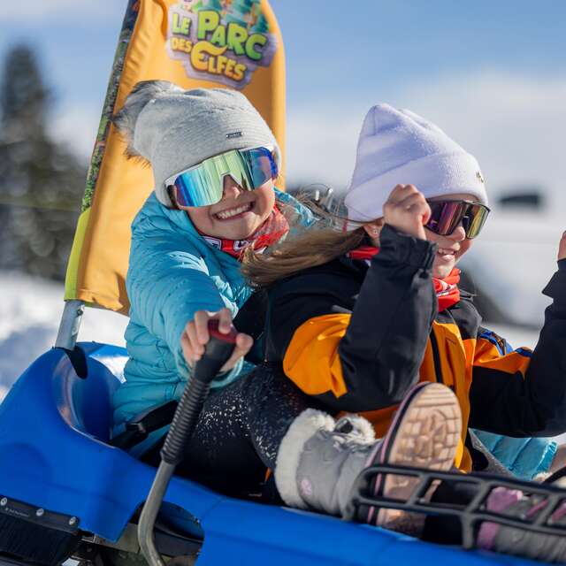 Mountain Twister sledge