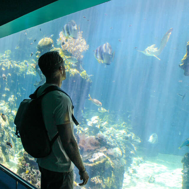 Hop On Hop Off + Aquarium des Lagons (Nouméa Double Deckers)