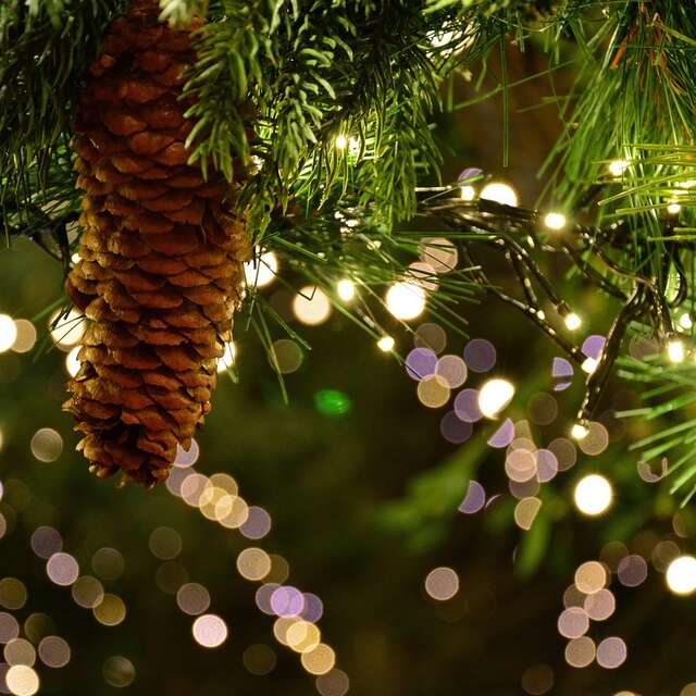 Marché de Noël Ris-Orangis