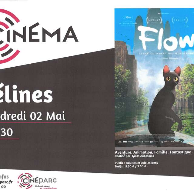 Séance de cinéma : « Flow, le chat qui n'avait plus peur de l'eau" »