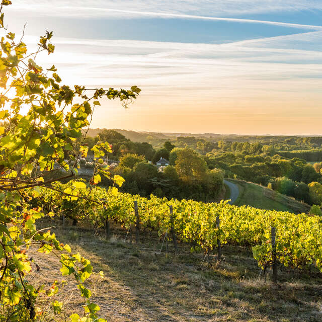 Reserva Natural Regional de Coteaux du Pont-Barré