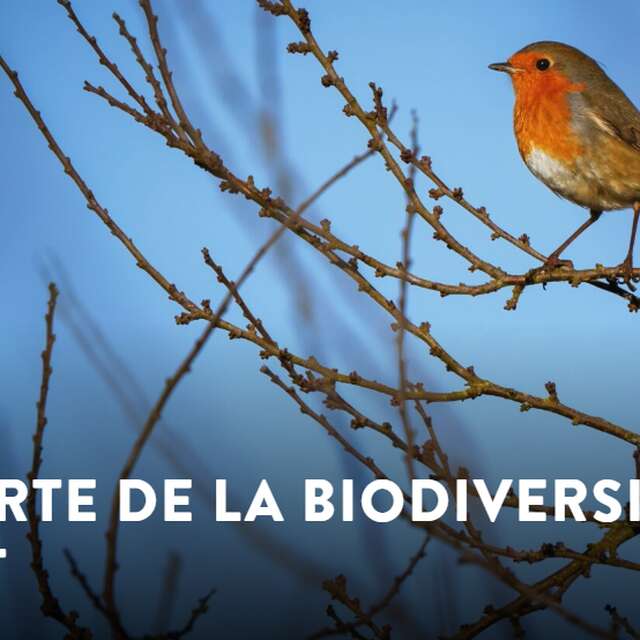 Découverte de la biodiversité de Lieusaint