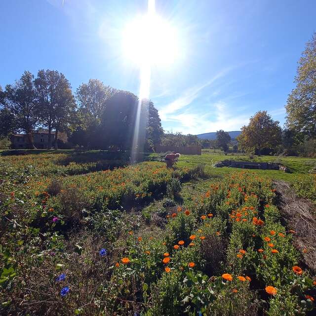 Les Jardins de Montdogat