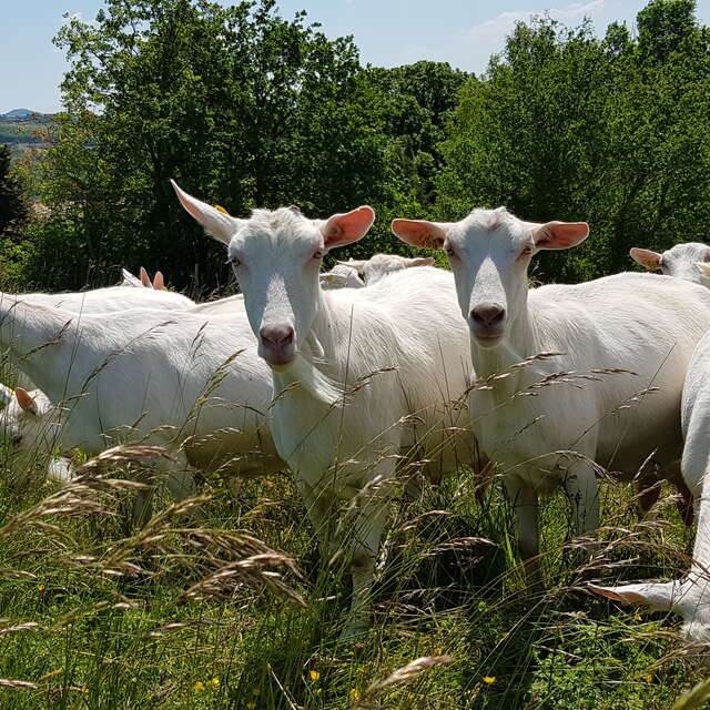 GAEC des Baratons