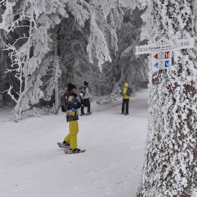 Veillées nordiques en Loire Forez