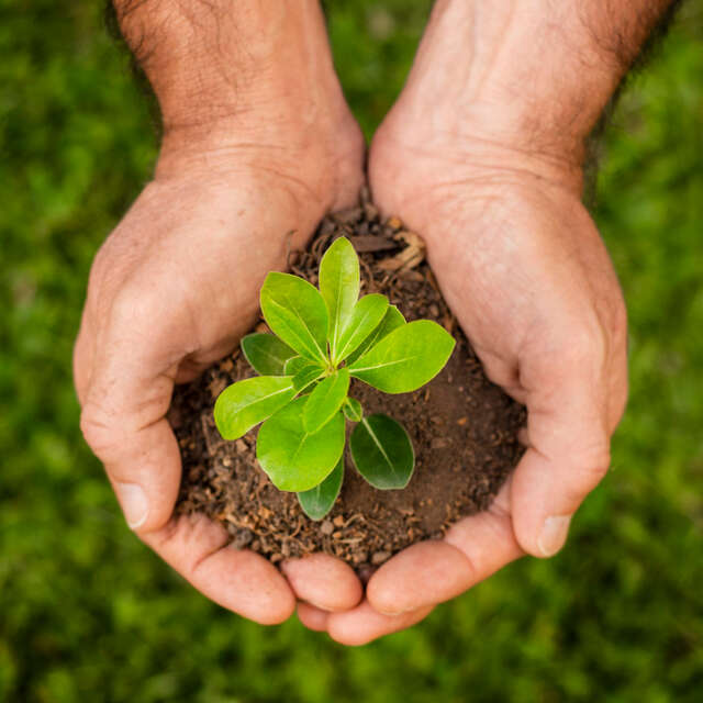 Journée de l'environnement