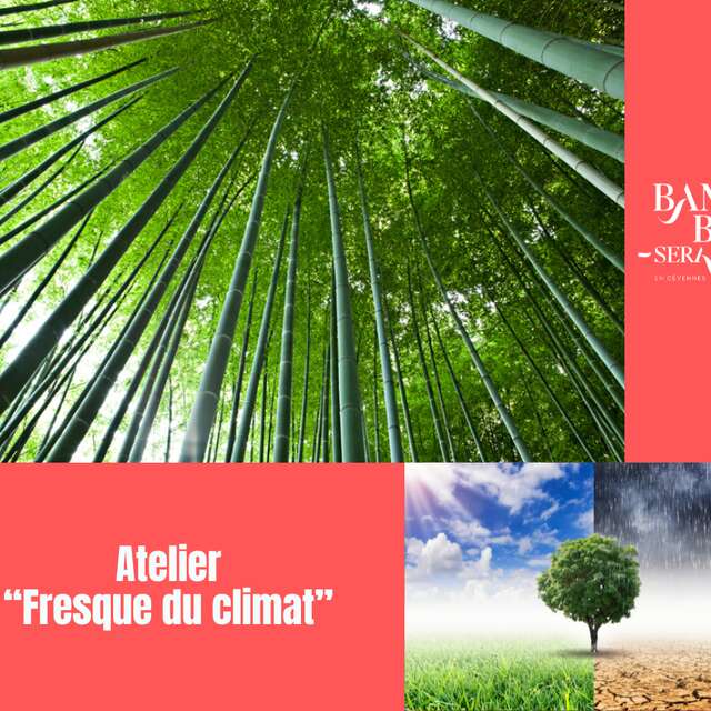Atelier Fresque du Climat