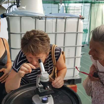 Visite de la ferme et dégustation : Spiruline de Ners