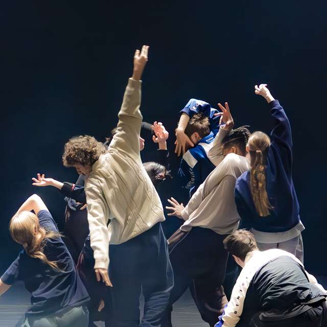 In de hersens' Shechter II - Festival Vaison Danses