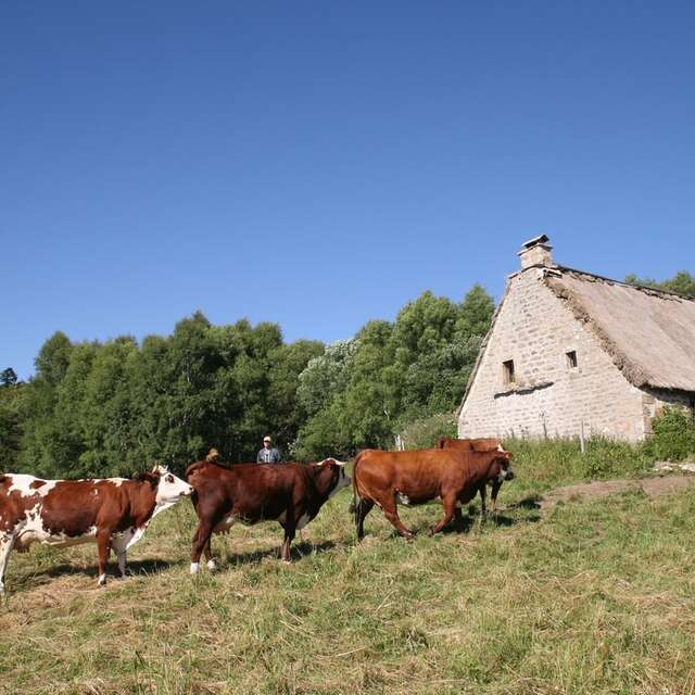 La Ferme des Supeyres