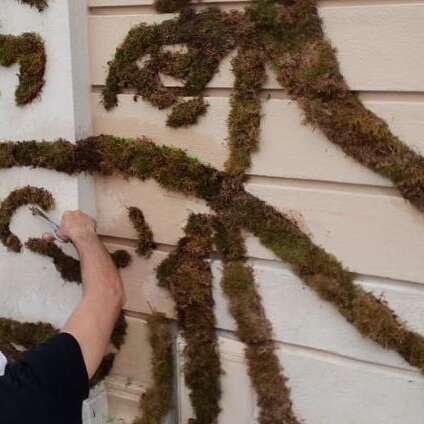 Atelier grafiti végétal