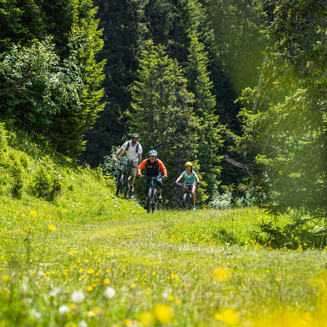 E-Bike route - Châtel (N°19)