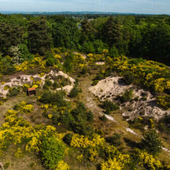 Étonnantes dunes !