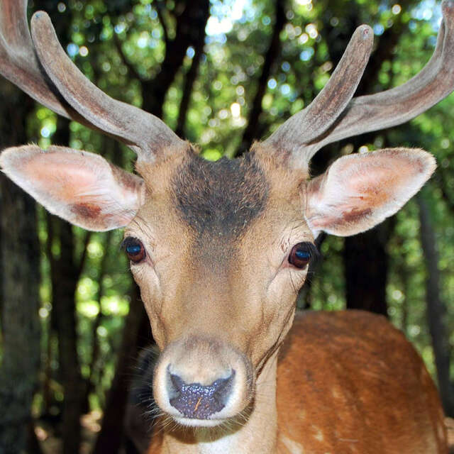 Aoubre, l'aventure nature