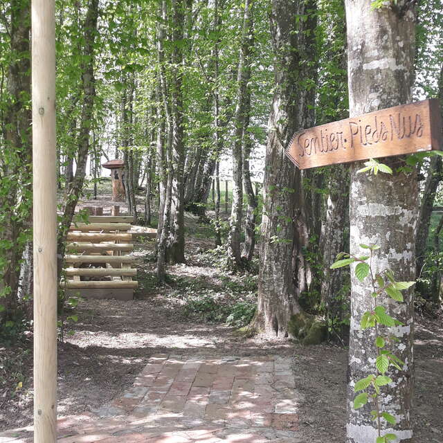 Sentier pieds-nus