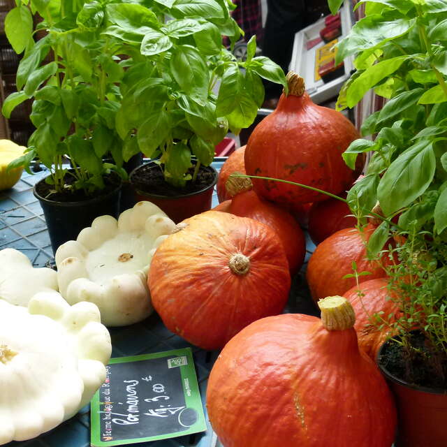 Marché hebdomadaire