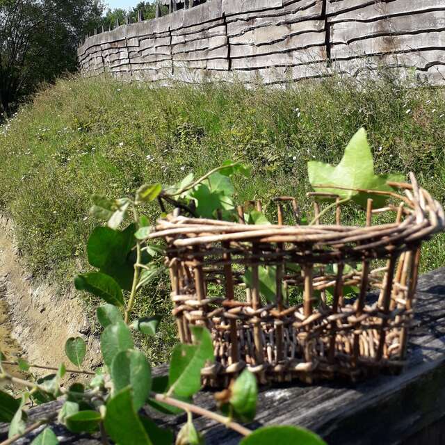 Atelier vannerie sauvage au Château à motte