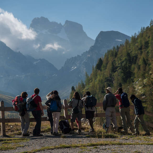 Sortie Parc - La réserve de Ristolas Mont Viso au petit jour