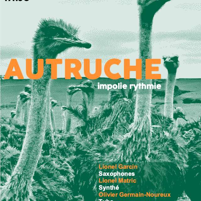 Autruche, impolie rythmie