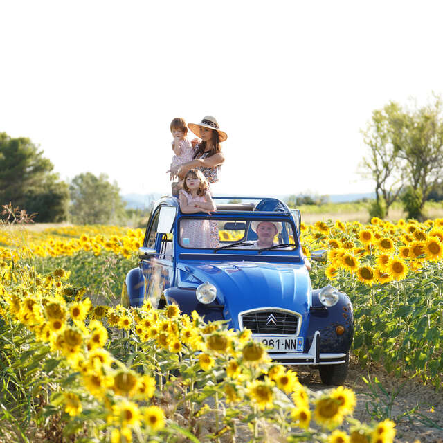 Oh my Deuche, 2cv rental - Balades en Provence