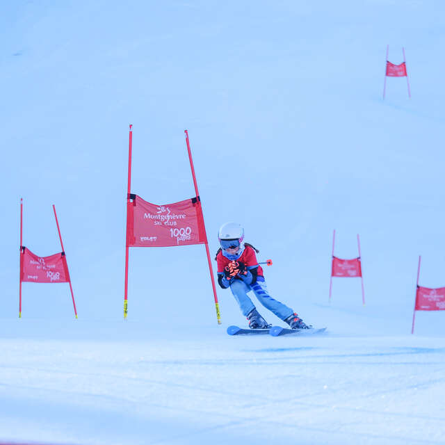 Course de La 1000 Pattes