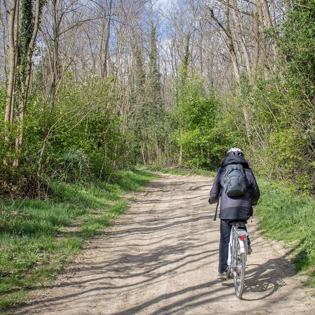 Randonnée VTT : Observatoire sur l'étang Grange Volet