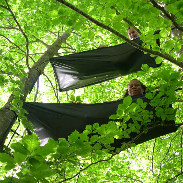 Au fil des branches