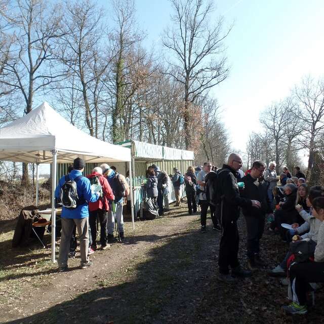 23ème marche de l'étang