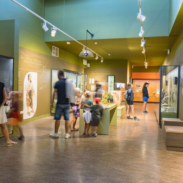 Aven d'Orgnac - Grand Site de France - The City of Prehistory