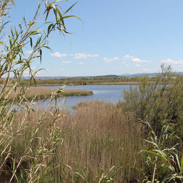 Sorties nature à Marignane