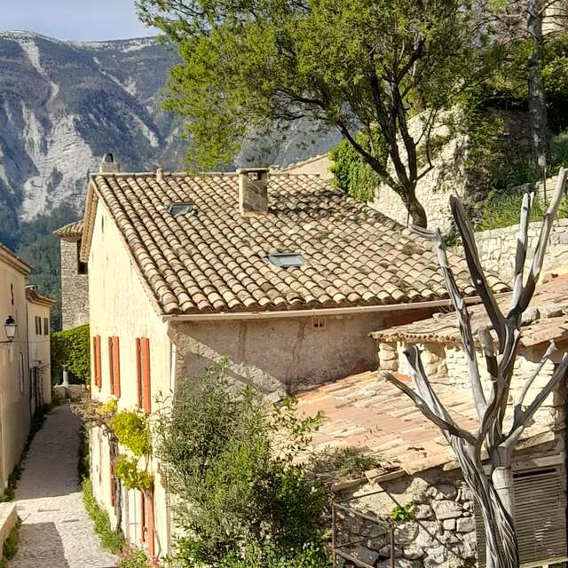Edy Boucher - L'Arbre en Scène, sculpteur sur bois