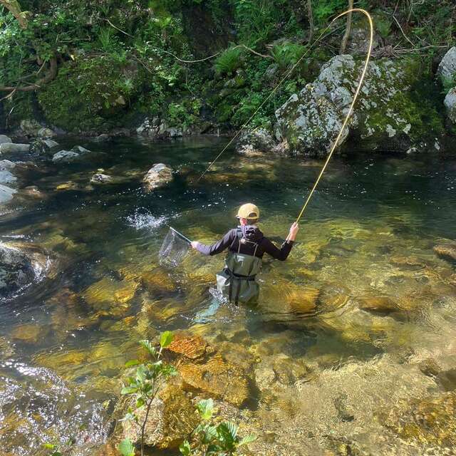Pêche à la mouche en rivière
