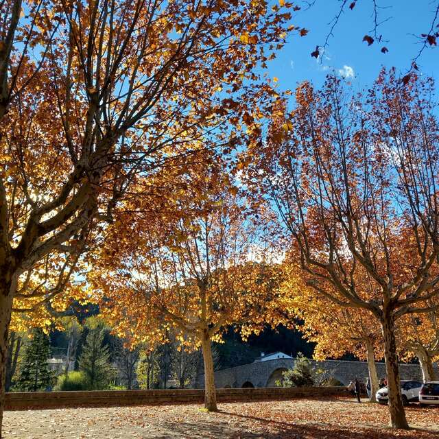 Place Augustine Soubeiran (Place Carnot) de Saint Jean du Gard