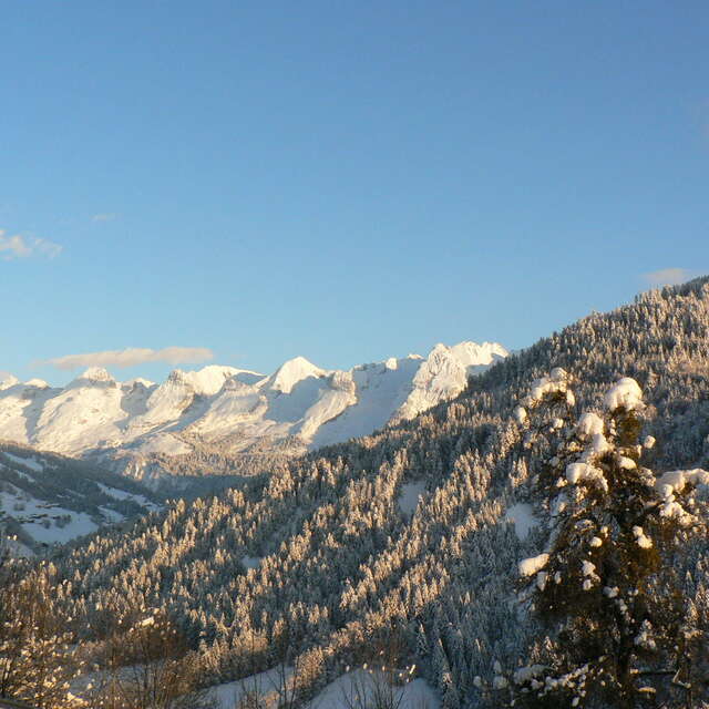Snowshoe trail 27 - La Communaille - Le Replein