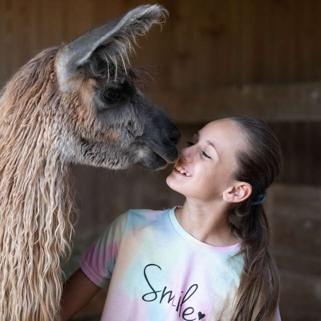 Rencontre avec les "Lamas des plaines" (visite)