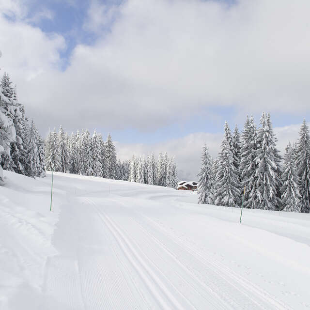 Le Tour du Golf hiver