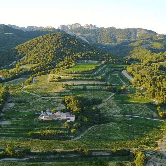 Domaine Paillère en Pied-Gû