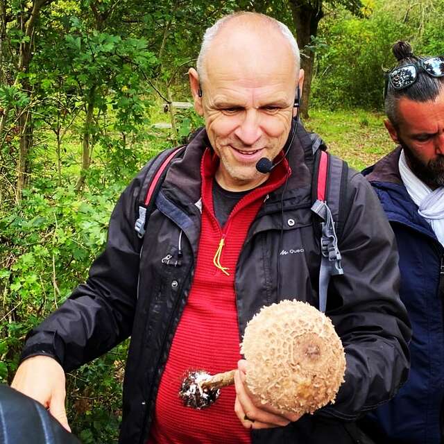 Stage : Cueillette de champignons