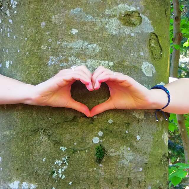 Eco-tours  "Balade : Les bienfaits de la forêt"