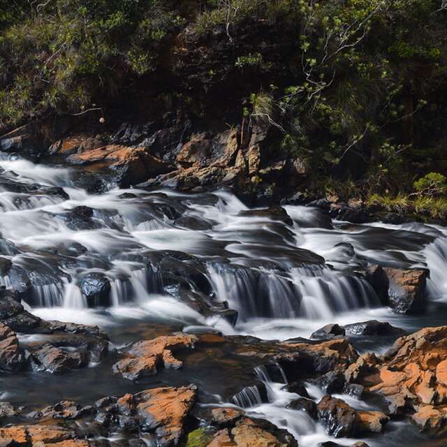 La Rivière des Pirogues
