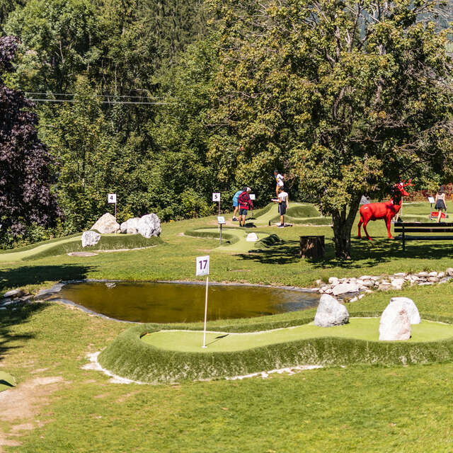 Mini-golf