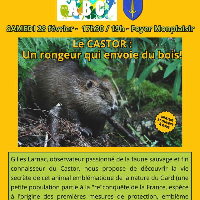 Le castor - Un rongeur qui envoie du bois