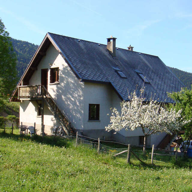 Les Pruniers