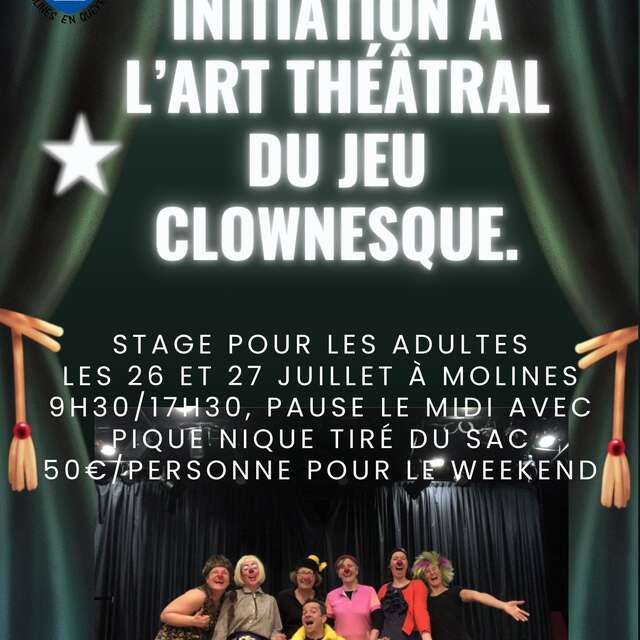 Introduction to the theatrical art of clowning" workshop for adults